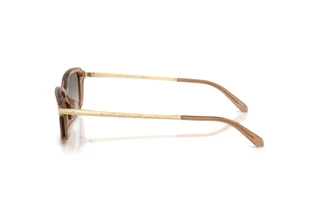 Zijaanzicht Ralph Lauren RL8245U (637708)