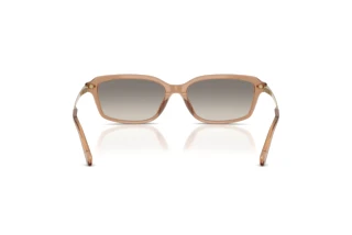 Achteraanzicht Ralph Lauren RL8245U (637708)