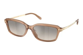 Vooraanzicht Ralph Lauren RL8245U (637708)