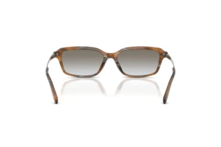 Achteraanzicht Ralph Lauren RL8245U (637911)