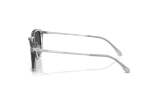 Zijaanzicht Ralph Lauren RL8246 (631787)