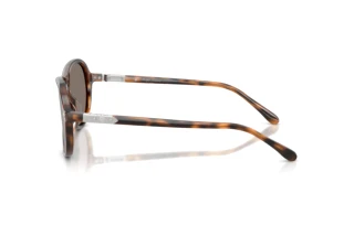 Zijaanzicht Ralph Lauren RL8247U (60896G)