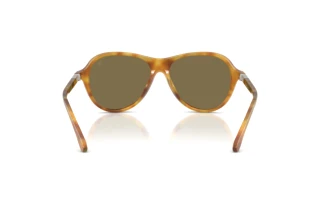 Achteraanzicht Ralph Lauren RL8247U (618573)
