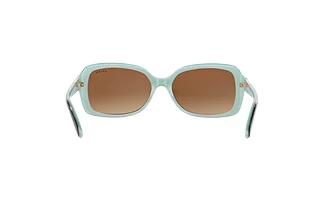 Achteraanzicht Ralph RA5130 (601/13)