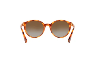 Achteraanzicht Ralph RA5273 (5885T5)