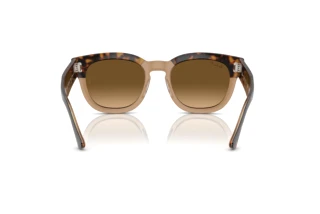 Achteraanzicht Ray-Ban MEGA HAWKEYE (RB0298S - 1292M2)