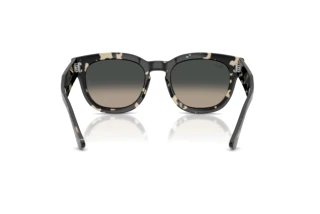 Achteraanzicht Ray-Ban MEGA HAWKEYE (RB0298S - 133371)