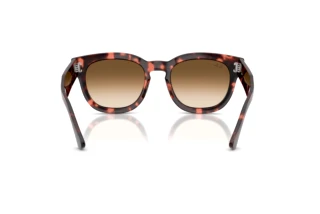 Achteraanzicht Ray-Ban MEGA HAWKEYE (RB0298S - 133451)