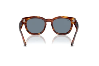 Achteraanzicht Ray-Ban MEGA HAWKEYE (RB0298S - 954/62)