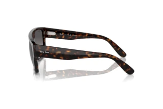 Zijaanzicht Ray-Ban DRIFTER (RB0360S - 902/M3)