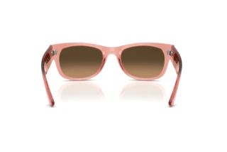 Achteraanzicht Ray-Ban MEGA WAYFARER II (RB0832S - 684843)