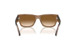 Achteraanzicht Ray-Ban CARLOS (RB0947S - 664051)