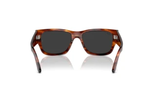 Achteraanzicht Ray-Ban CARLOS (RB0947S - 954/48)