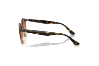 Zijaanzicht Ray-Ban RB2180 (678846)