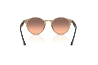 Achteraanzicht Ray-Ban RB2180 (678846)