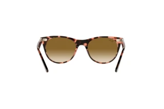 Achteraanzicht Ray-Ban WAYFARER II (RB2185 - 133451)