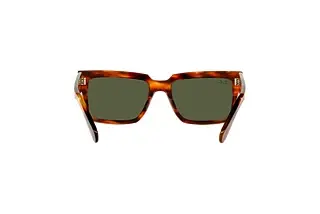 Achteraanzicht Ray-Ban INVERNESS (RB2191 - 954/31)