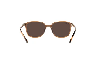 Achteraanzicht Ray-Ban LEONARD (RB2193 - 663693)
