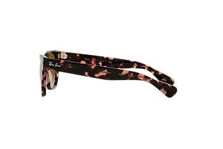 Zijaanzicht Ray-Ban LARAMIE (RB2201 - 133451)