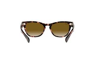 Achteraanzicht Ray-Ban LARAMIE (RB2201 - 133451)