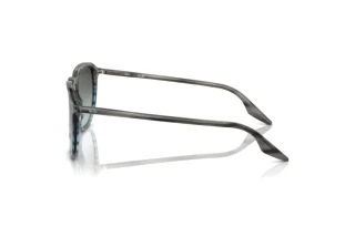 Zijaanzicht Ray-Ban RB2203 (1391GK)