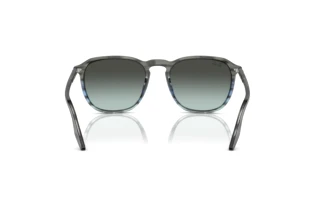 Achteraanzicht Ray-Ban RB2203 (1391GK)
