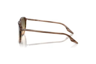 Zijaanzicht Ray-Ban RB2203 (13920A)