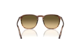 Achteraanzicht Ray-Ban RB2203 (13920A)