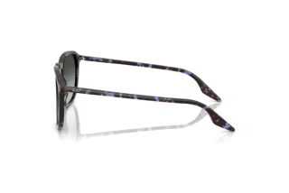 Zijaanzicht Ray-Ban RB2203 (1430GK)