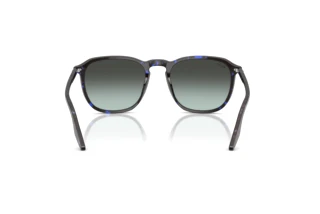Achteraanzicht Ray-Ban RB2203 (1430GK)