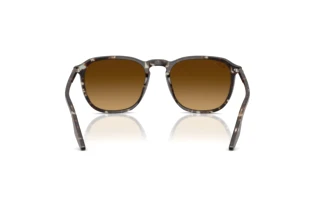 Achteraanzicht Ray-Ban RB2203 (143185)