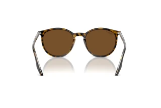 Achteraanzicht Ray-Ban RB2204 (139357)