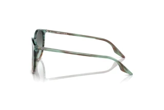 Zijaanzicht Ray-Ban RB2204 (1394GK)