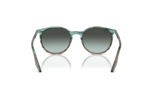 Achteraanzicht Ray-Ban RB2204 (1394GK)
