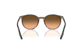 Achteraanzicht Ray-Ban RB2204 (13953B)