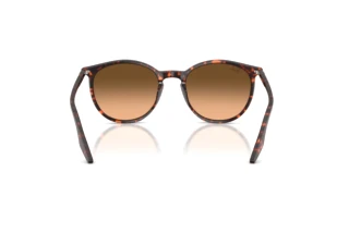 Achteraanzicht Ray-Ban RB2204 (14293B)