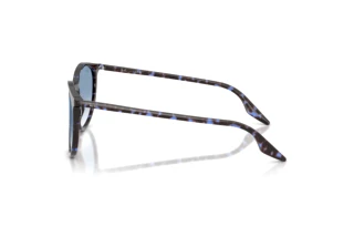 Zijaanzicht Ray-Ban RB2204 (14303F)