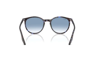 Achteraanzicht Ray-Ban RB2204 (14303F)