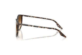 Zijaanzicht Ray-Ban RB2204 (143151)