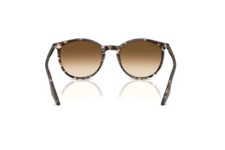 Achteraanzicht Ray-Ban RB2204 (143151)