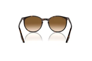 Achteraanzicht Ray-Ban RB2204 (902/51)