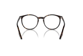 Achteraanzicht Ray-Ban RB2204 (902/GJ)