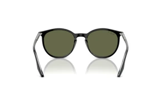 Achteraanzicht Ray-Ban RB2204 (919/58)