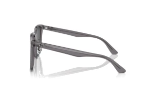 Zijaanzicht Ray-Ban RB2206D (139987)