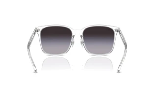 Achteraanzicht Ray-Ban RB2206D (64478G)