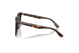 Zijaanzicht Ray-Ban RB2206D (710/87)