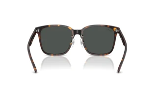 Achteraanzicht Ray-Ban RB2206D (710/87)