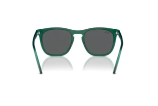 Achteraanzicht Ray-Ban RB2210 (6615B1)