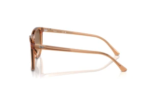 Zijaanzicht Ray-Ban RB2210 (676451)