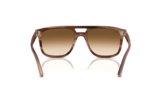 Achteraanzicht Ray-Ban RB2213 (142351)